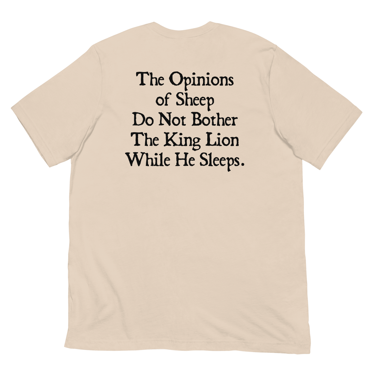 Don't Lose Sleep Tee shirts House of Kings Co.